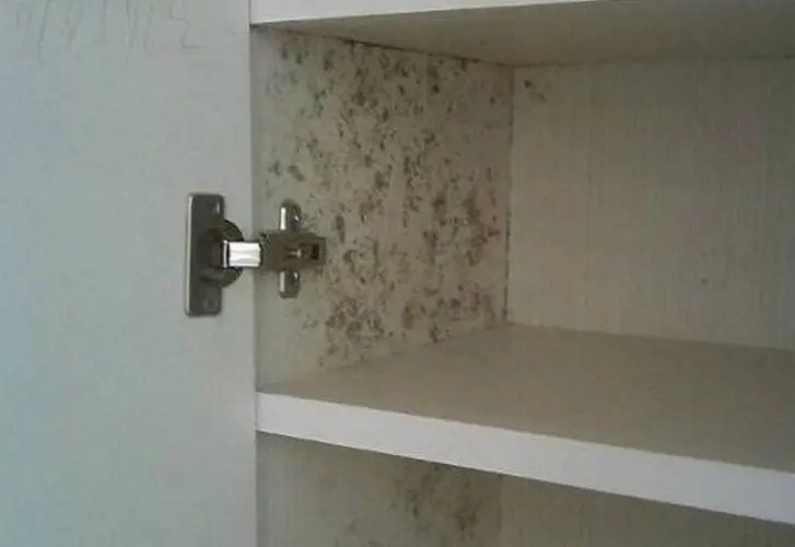 衣柜发霉了怎么办？