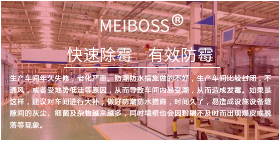 生产车间专用除霉剂